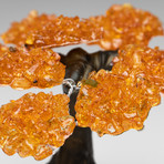 The Money Tree // Citrine Clustered Gemstone Tree on Amethyst Matrix (Small)