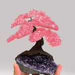 The Love Tree // Rose Quartz Clustered Gemstone Tree on Amethyst Matrix (Small)