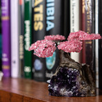 The Love Tree // Rose Quartz Clustered Gemstone Tree on Amethyst Matrix (Small)