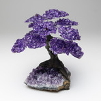 The Protection Tree // Amethyst Clustered Gemstone Tree on Amethyst Matrix (Small)