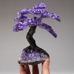 The Protection Tree // Amethyst Clustered Gemstone Tree on Amethyst Matrix (Small)