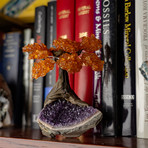 The Money Tree // Citrine Clustered Gemstone Tree on Amethyst Matrix (Small)