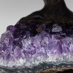 The Protection Tree // Amethyst Clustered Gemstone Tree on Amethyst Matrix (Small)