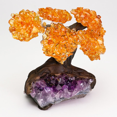 The Money Tree // Citrine Clustered Gemstone Tree on Amethyst Matrix (Small)