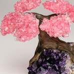 The Love Tree // Rose Quartz Clustered Gemstone Tree on Amethyst Matrix (Small)