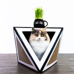 Pyramid // Cat House Scratcher