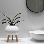 Bloom Ceramic Planter // Matte White