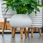 Bloom Ceramic Planter // Matte White