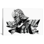 Mister Samurai // Mister Merlinn (18"W x 12"H x 0.75"D)