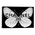 Fly As Chanel // Studio One (26"W x 18"H x 0.75"D)