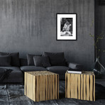 Classic Rock // Neil Young (12"W x 16"H x 1"D)