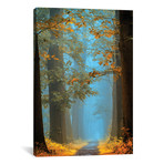 Orange Blue Avenue // Lars van de Goor (18"W x 26"H x 0.75"D)