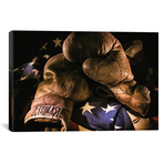 Pair of vintage boxing gloves laying on a flag by Sheila Haddad (26"W x 18"H x 0.75"D)