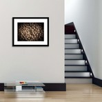Pebbles Framed Wall Art (12"W x 16"H x 1"D)