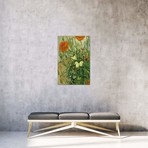 Butterflies and Poppies (26"W x 40"H x 1.5"D)