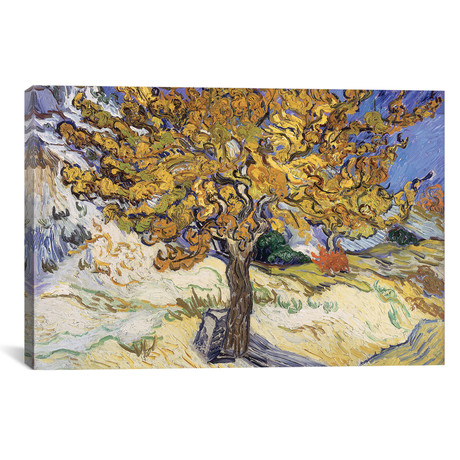 Mulberry Tree, 1889 (26"W x 18"H x 0.75"D)