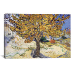 Mulberry Tree, 1889 (26"W x 18"H x 0.75"D)