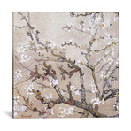 Almond Branches In Bloom San Remy, C. 1890 (tan) // Vincent van Gogh (18"W x 18"H x 0.75"D)