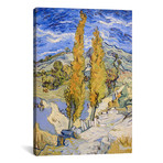 The Poplars at Saint-Remy // Vincent van Gogh // 1889 (18"W x 26"H x 0.75"D)
