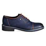 Aurelio Shoes // Navy Blue + Brown (Euro: 43)