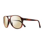 Marx Polarized Sunglasses // Honey Tortoise Frame // Champagne Lens