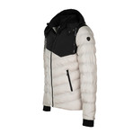 Winter Jacket // Gray (XL)