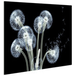 Dancing Dandelions // Frameless Printed Tempered Art Glass