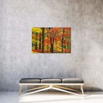 Maple Trees In Autumn, Great Smoky Mountains National Park, Tennessee // Tim Fitzharris (26"W x 18"H x 0.75"D)