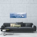 Bison West Thumb Geyser Basin Yellowstone National Park (36"W x 12"H x 0.75"D)