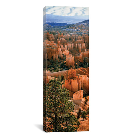 Hoodoos, Bryce Canyon Amphitheater, Utah // Panoramic Images (12"W x 36"H x 0.75"D)