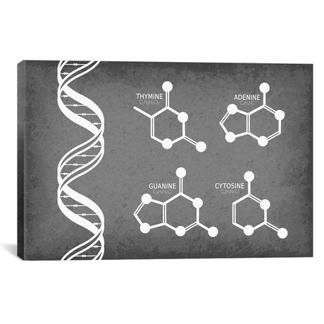 DNA Strand with Nucleotide Molecules // GetYourNerdOn (26"W x 18"H x 0.75"D)