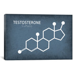 Testosterone Molecule (26"W x 18"H x 0.75"D)