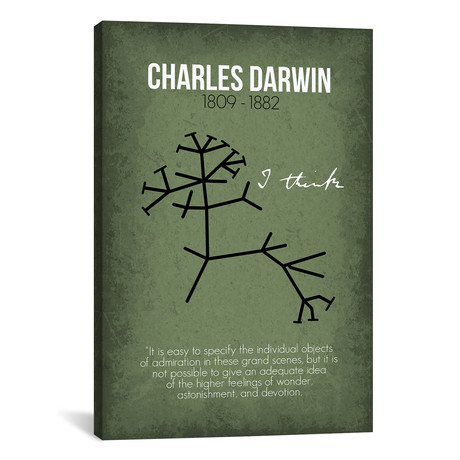 Charles Darwin // GetYourNerdOn (26"W x 40"H x 1.5"D)