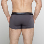 Beau Boxer Briefs // Gray (M)