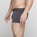 Beau Boxer Briefs // Gray (M)