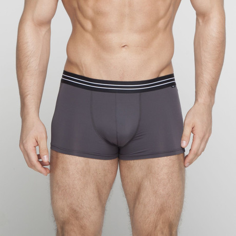 Beau Boxer Briefs // Gray (S)