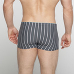 Carter Boxer Briefs // Gray (M)