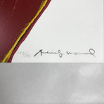 Andy Warhol // Cowboys and Indians: Northwest Coast Mask II.380 // 1986