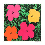 Andy Warhol // Flowers II.6 // 1964