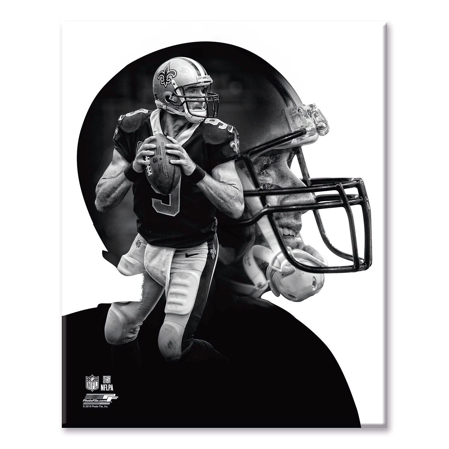 Drew Brees PROfile // New Orleans Saints (11"W x 14"H x 2"D) - Sports