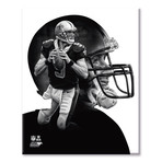 Drew Brees PROfile // New Orleans Saints (11"W x 14"H x 2"D)