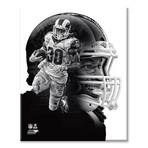Todd Gurley PROfile // Los Angeles Rams (11"W x 14"H x 2"D)