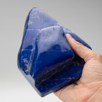 Genuine Polished Lapis Lazuli Freeform // 2.5 lbs.