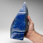 Genuine Polished Lapis Lazuli Freeform III // 6 lbs.