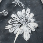Genuine Polished Chrysanthemum Stone