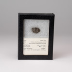 Genuine Sikhote-Alin Meteorite in Display Case