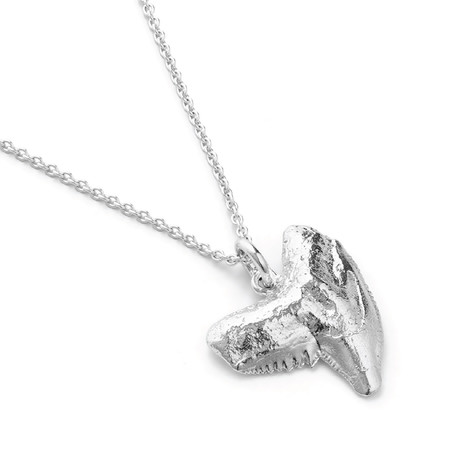 Shark Tooth Pendant + Chain // Silver