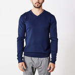 Slim V-Neck Sweater // Navy (L)