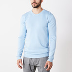 Slim Crew Neck Sweater // Powder Blue (L)