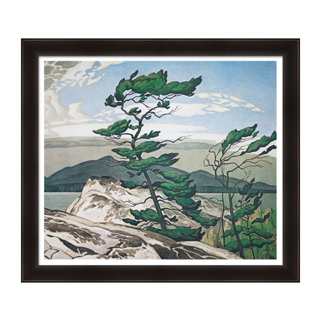 A.J. Casson Limited Edition Group of Seven "White Pine" // Framed Art Print